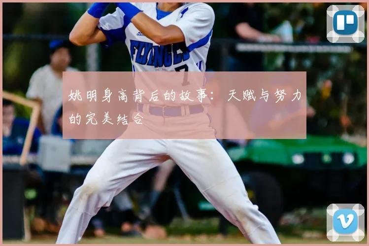 姚明身高背后的故事:天赋与努力的完美结合